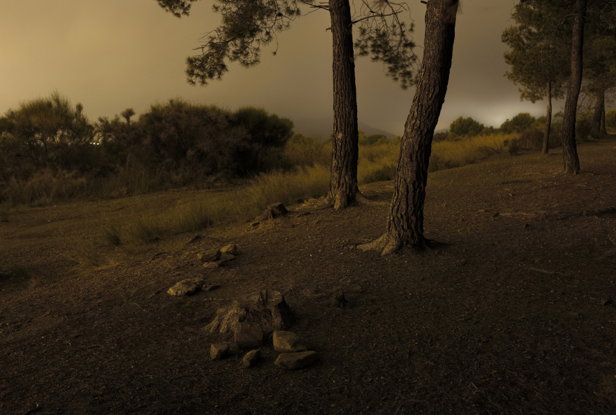 Festival La Nuu - Miquel Llonch